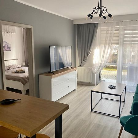 Apartament Na Skrzypka تشيشين المظهر الخارجي الصورة