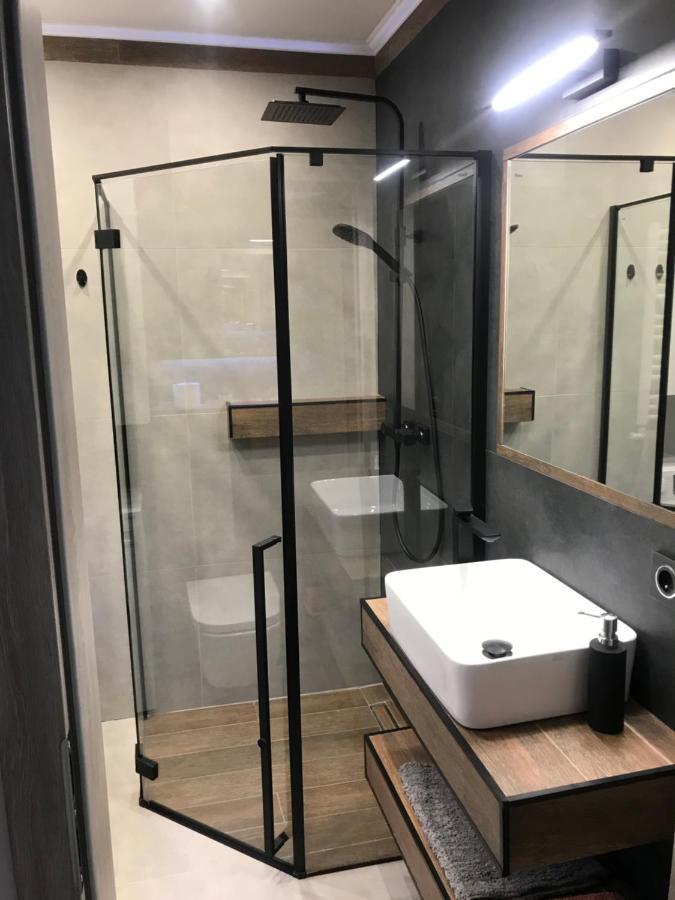 Apartament Na Skrzypka تشيشين المظهر الخارجي الصورة