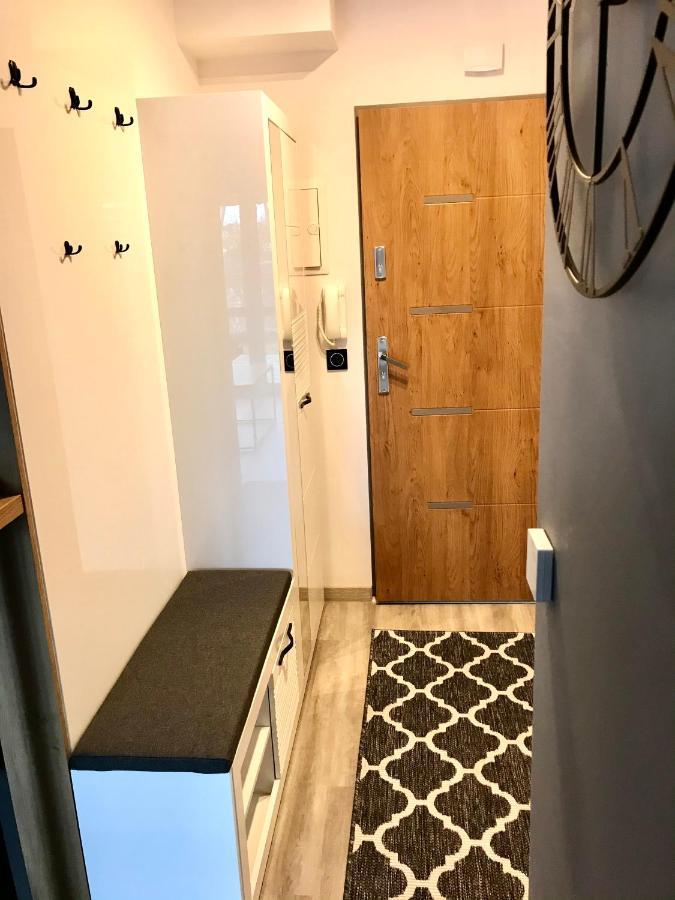 Apartament Na Skrzypka تشيشين المظهر الخارجي الصورة