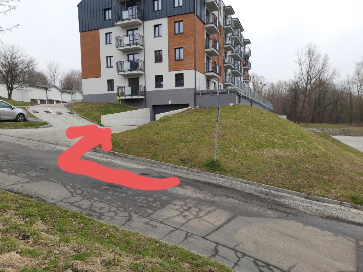 Apartament Na Skrzypka تشيشين المظهر الخارجي الصورة