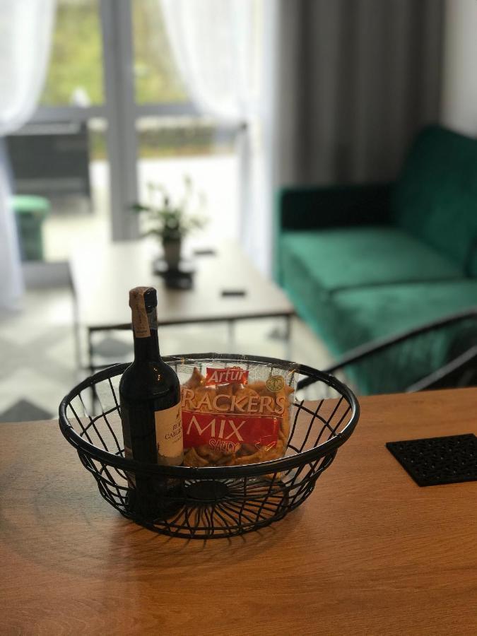 Apartament Na Skrzypka تشيشين المظهر الخارجي الصورة