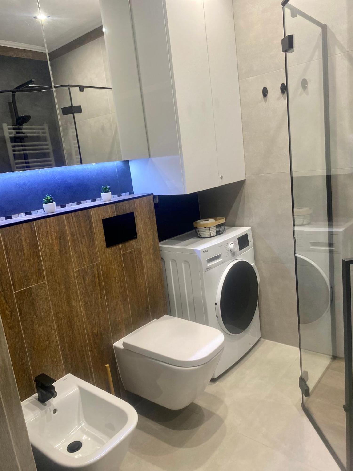 Apartament Na Skrzypka تشيشين المظهر الخارجي الصورة